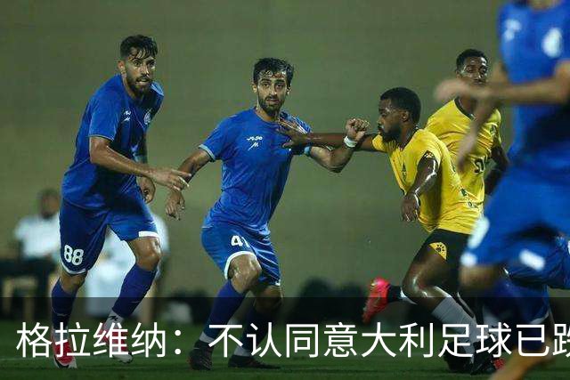 格拉维纳：不认同意大利足球已跌至最低点 对未晋级世界杯失望